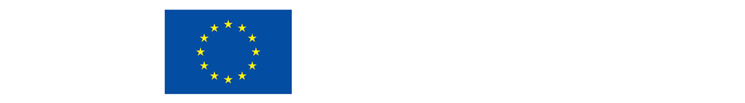Co-funded by the EU